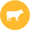 LIVE STOCK MANAGEMENT | FarmERP