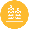 FARM PROFILE | FarmERP