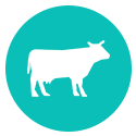 LIVE STOCK MANAGEMENT | FarmERP