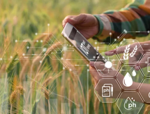 Revolutionising Farm Operations: How a Digital Agribusiness Platform Can Boost Efficiency